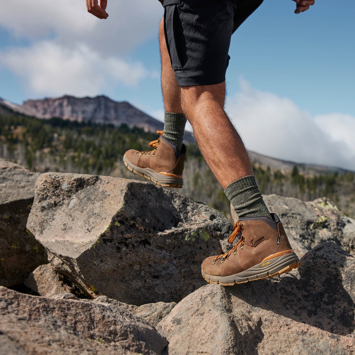 Mountain 600 Leaf GTX Loam Brown/Glazed Ginger / Danner