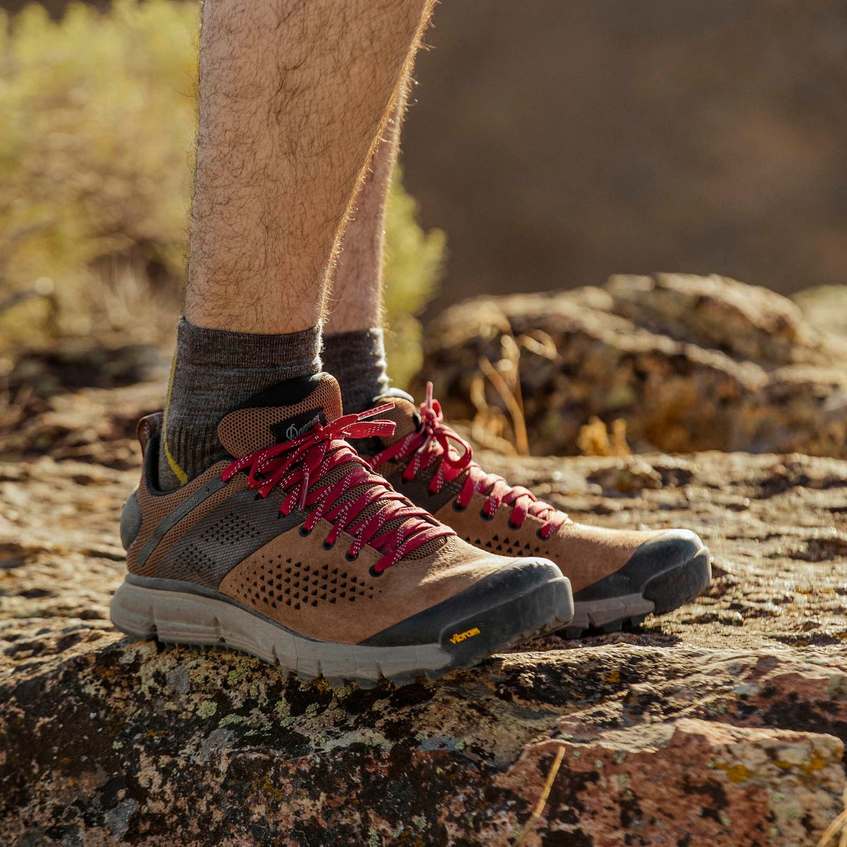 Trail 2650 Brown/Red / Danner