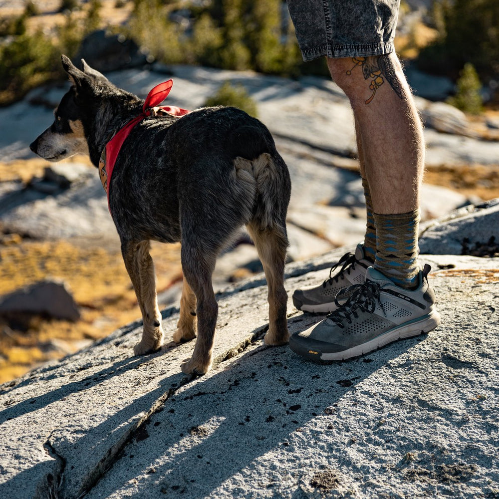 Trail 2650 Charcoal/Goblin Blue / Danner