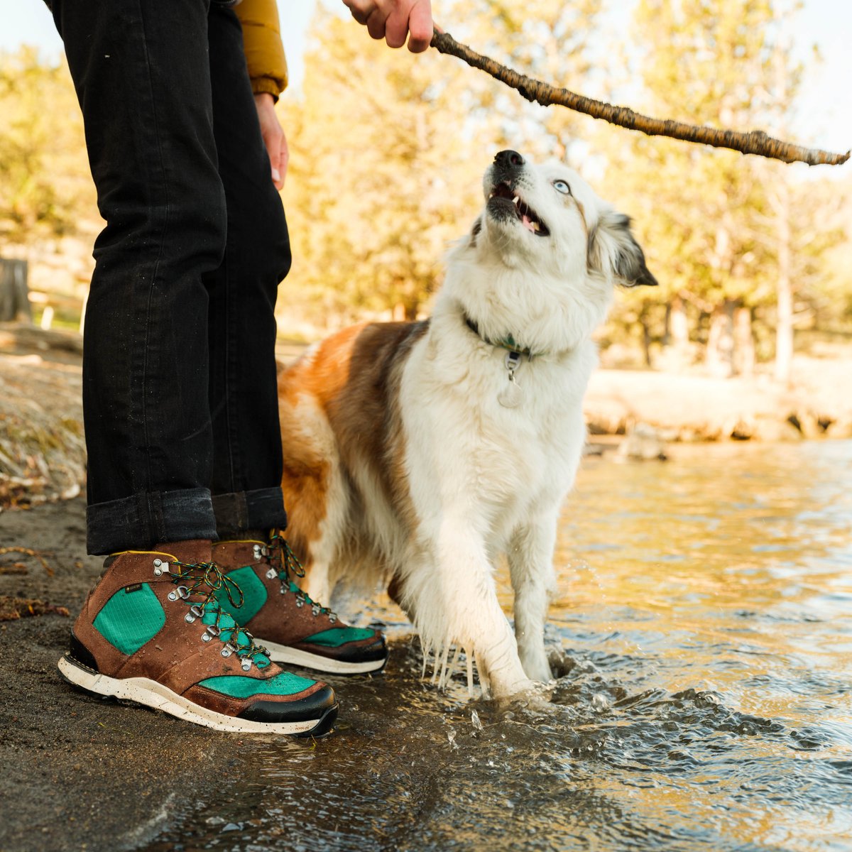 Free Spirit Dark Earth / Danner