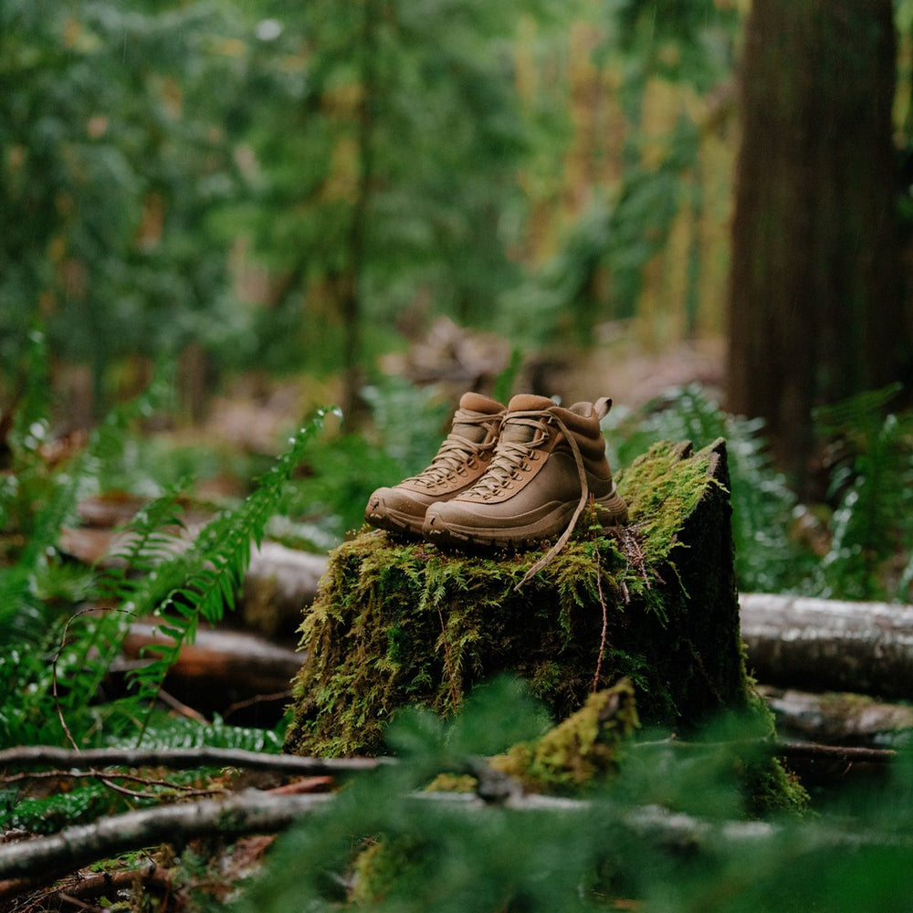 Trail Trainer Coyote / Danner