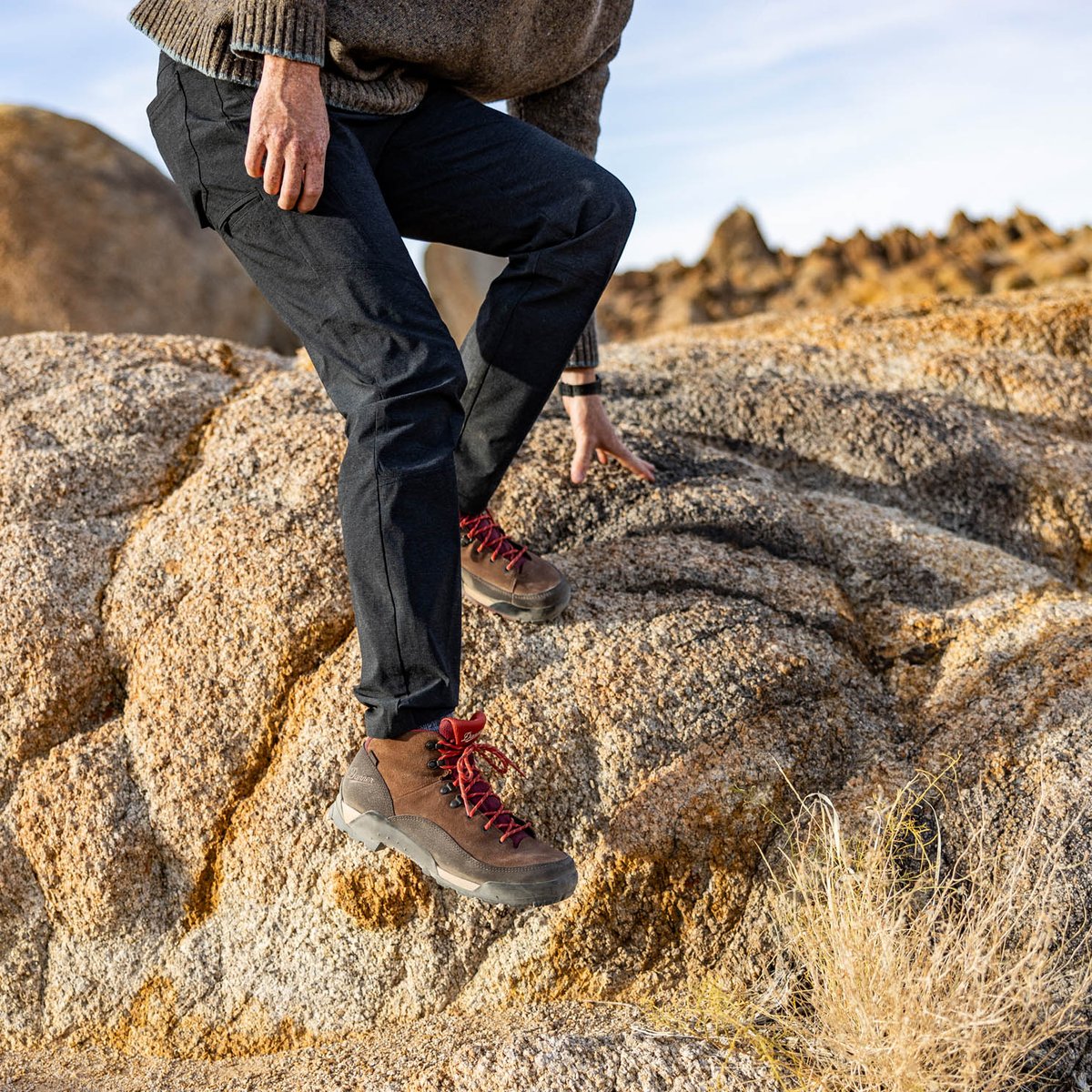 Panorama Mid Pinecone Brown/Bossa Nova / Danner