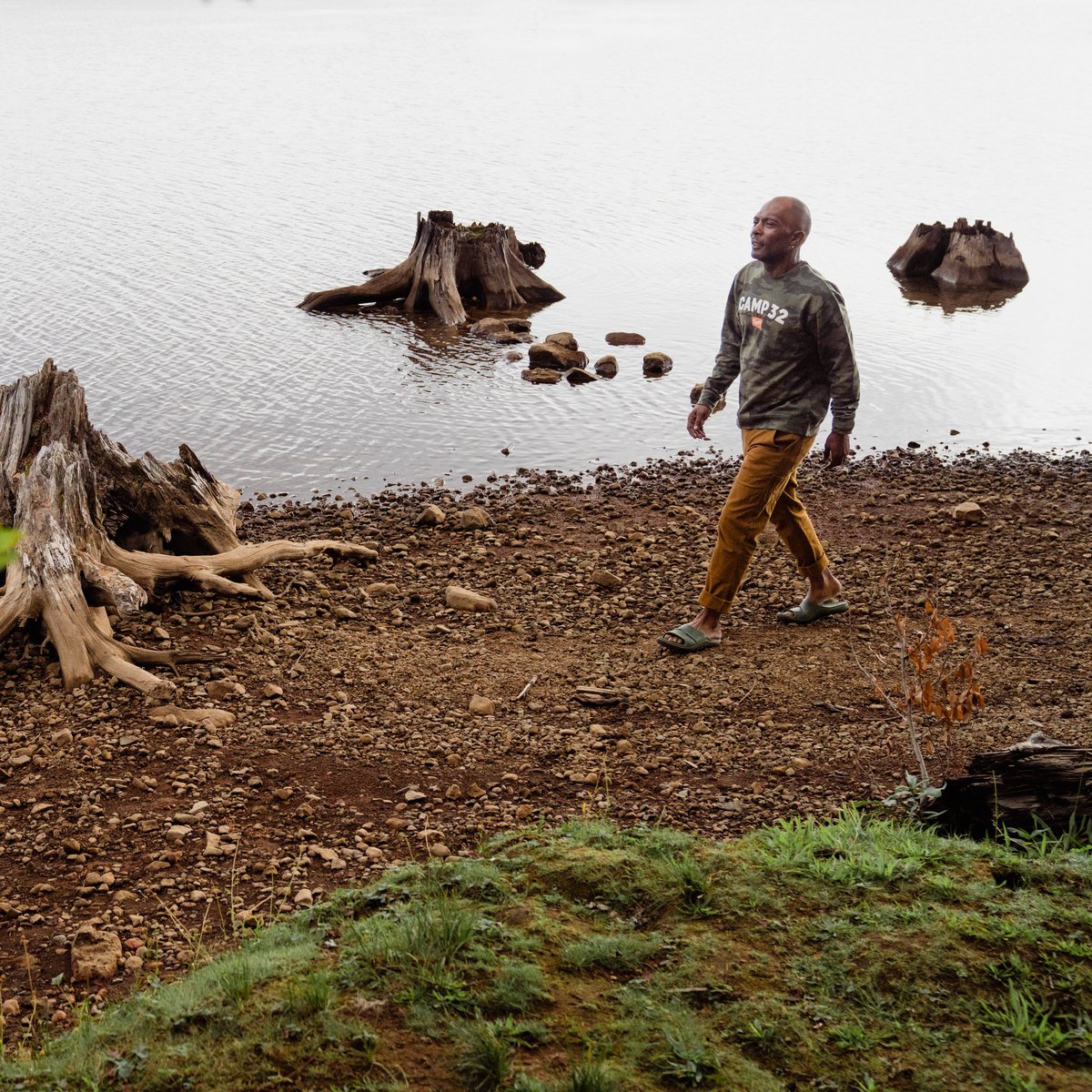 Shelter Cove Forest / Danner