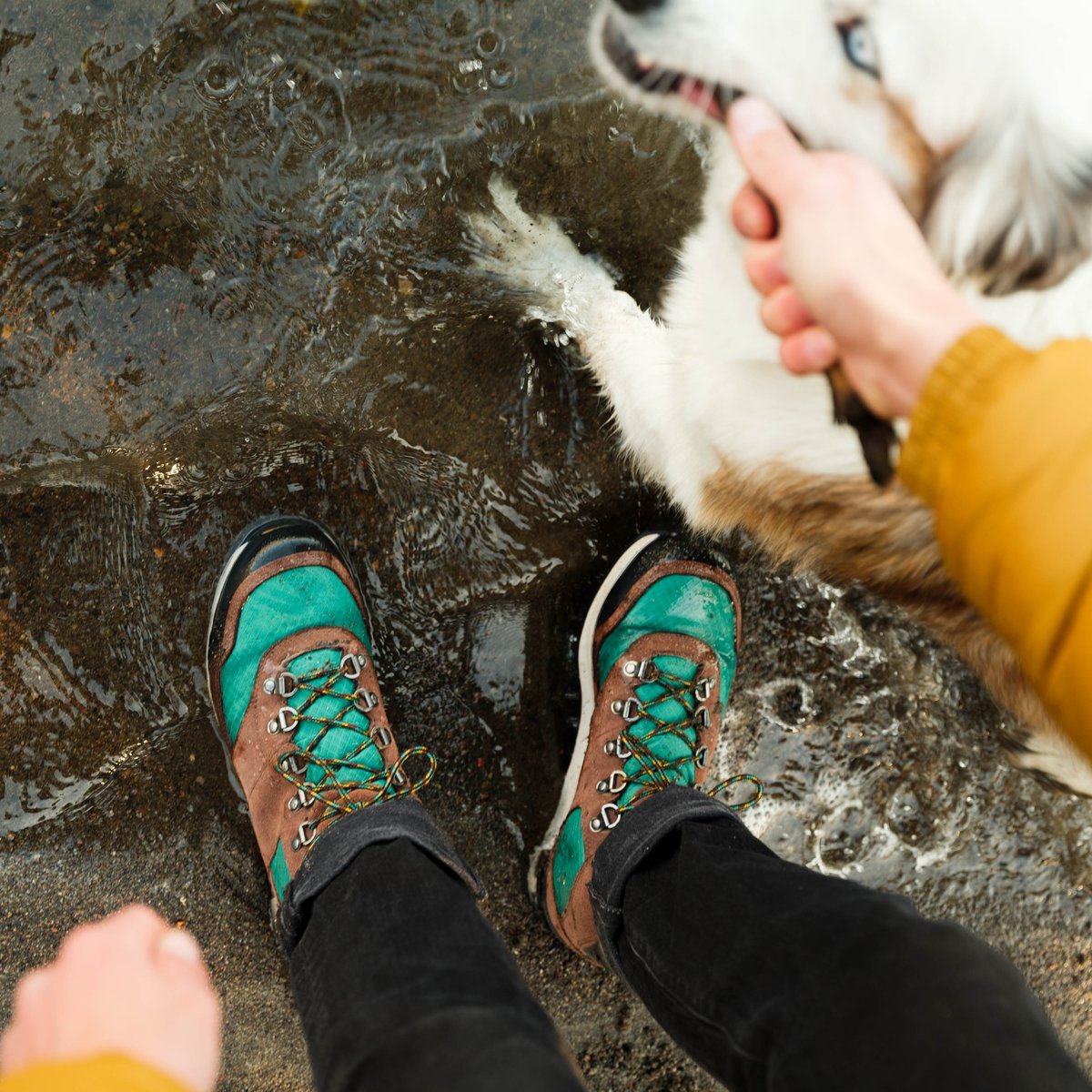 Free Spirit Dark Earth / Danner