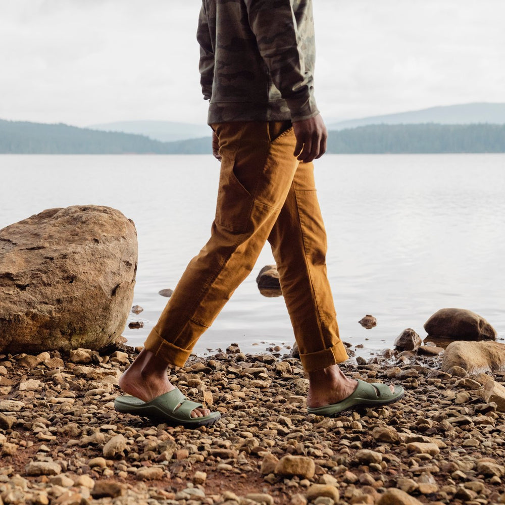 Shelter Cove Forest / Danner