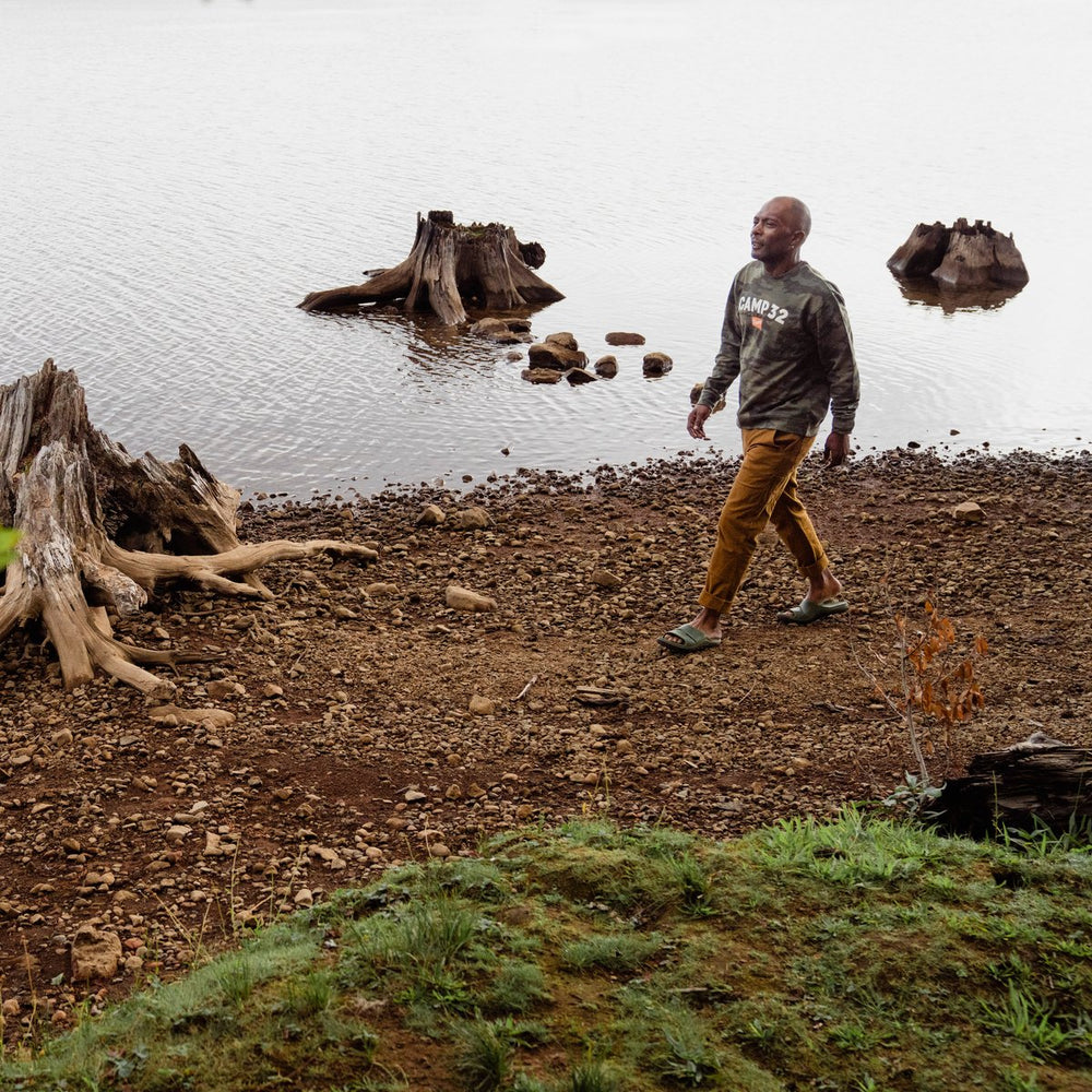 Shelter Cove Forest / Danner