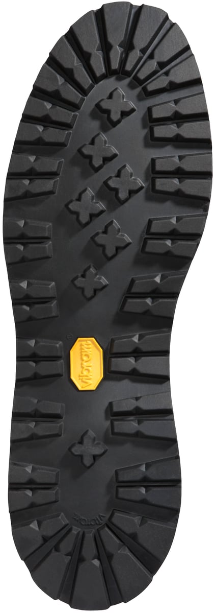 Fort Lewis 10" Black Insulated 200G / Danner