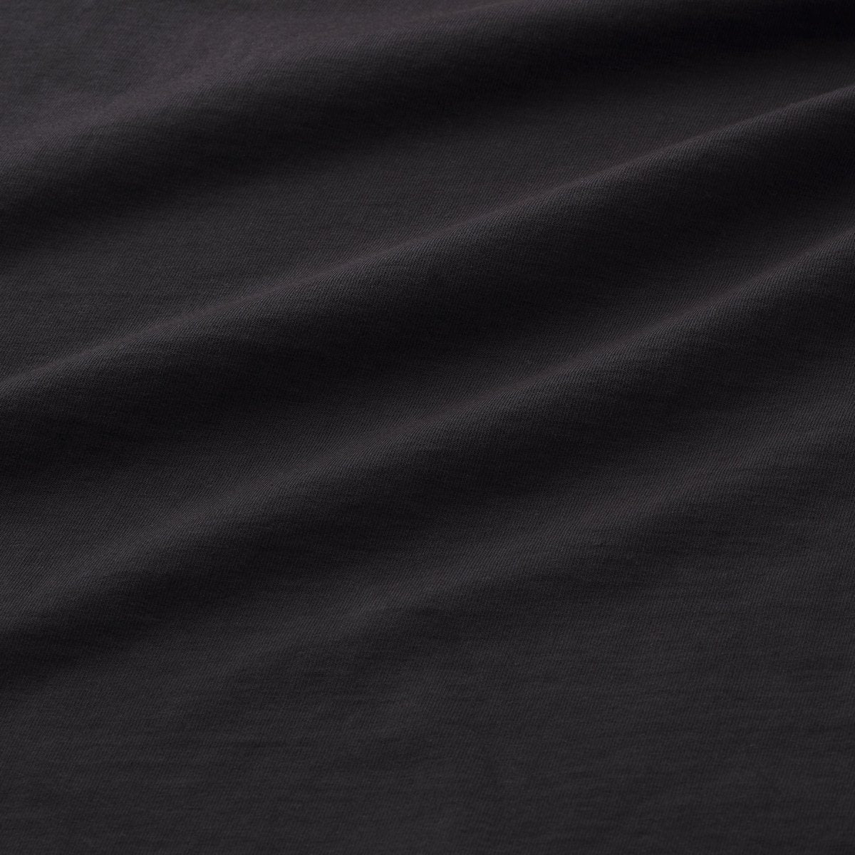 Heavyweight Long Sleeve Tee Black / Danner