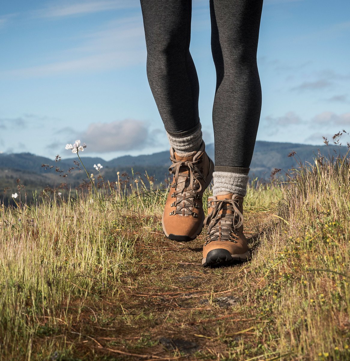 Mountain 600 Rich Brown / Danner