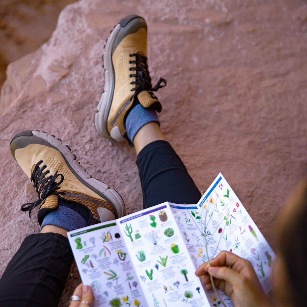Trail 2650 GTX Prairie Sand/Gray / Danner