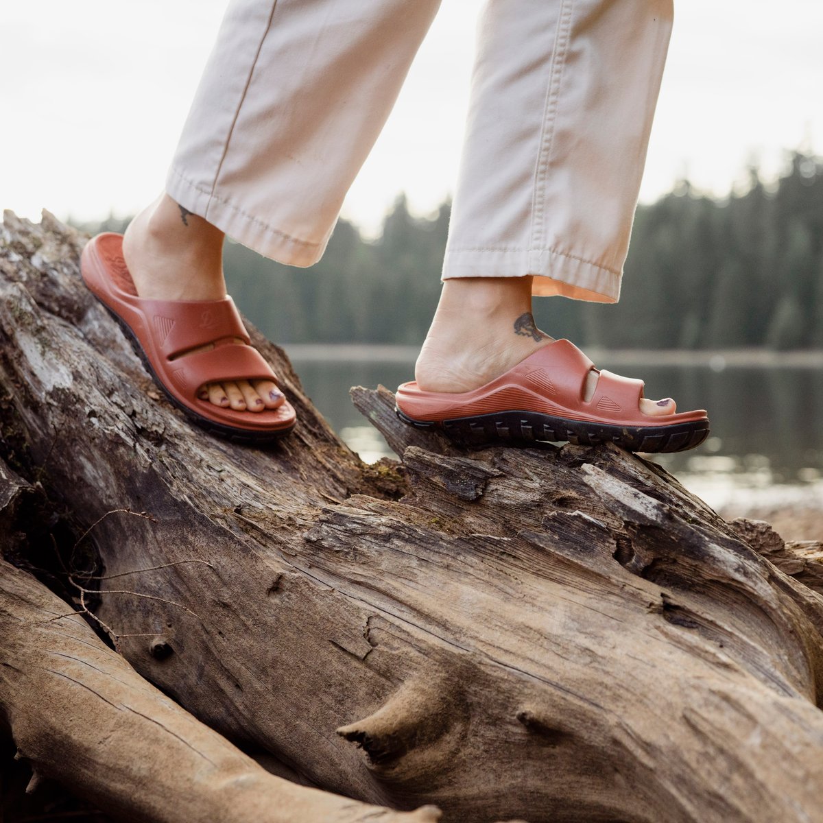 Shelter Cove Potter's Clay / Danner