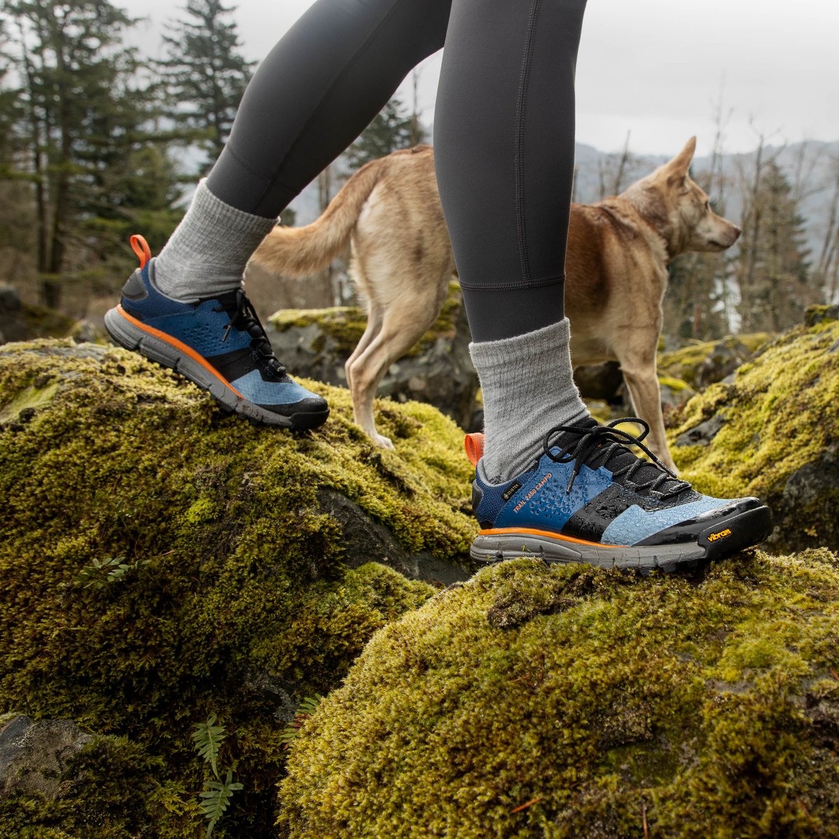 Trail 2650 Campo GTX Blue/Orange / Danner